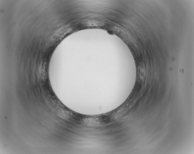 X0000088210422200706051302