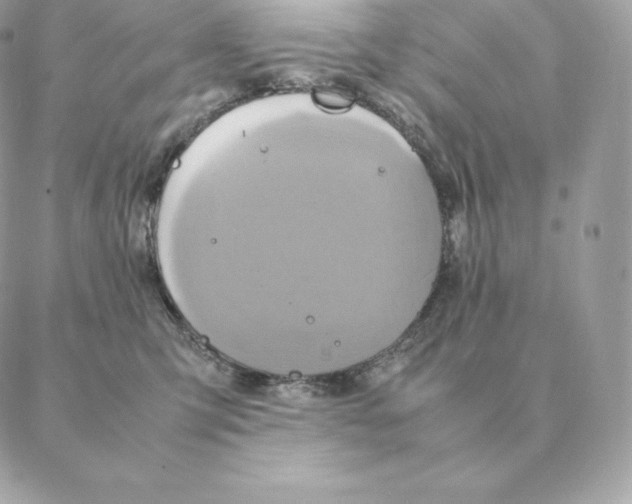 X0000088210423200706051302