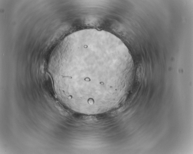 X0000088210424200706051302