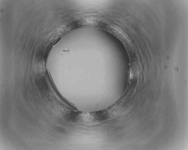 X0000088210425200706051302