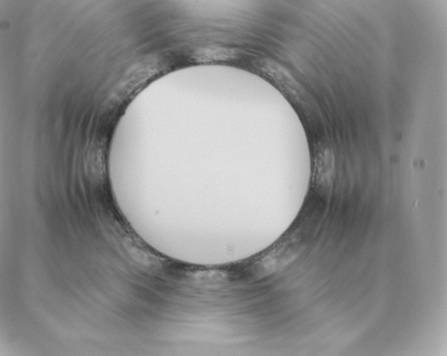 X0000088210426200706051302