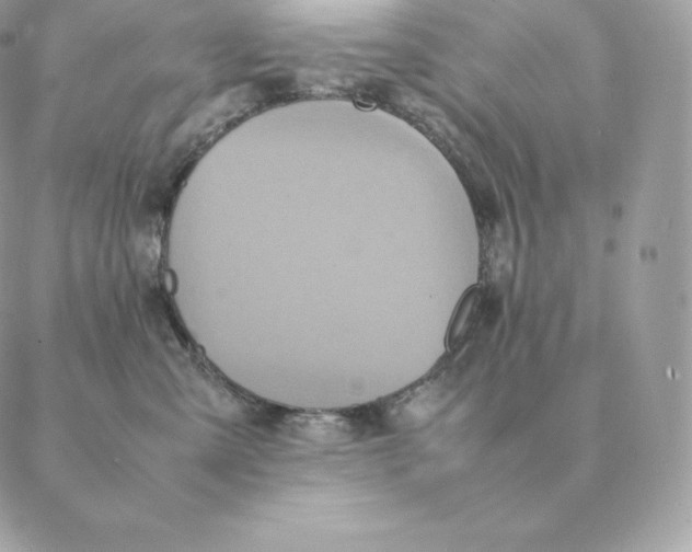 X0000088210427200706051301