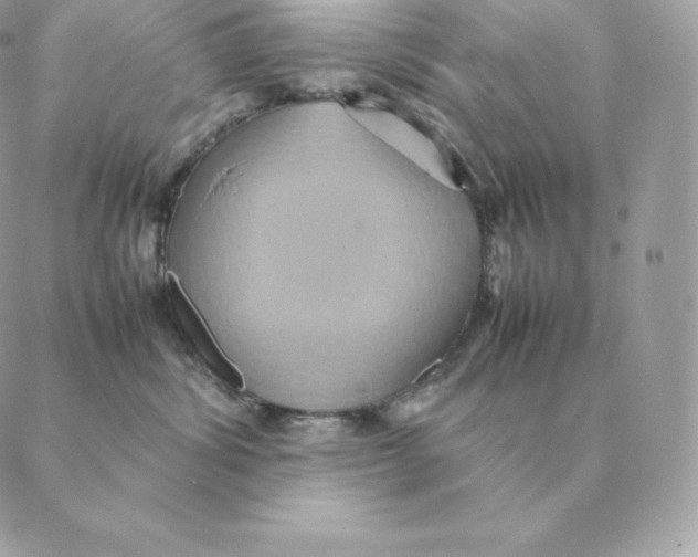 X0000088210428200706051301