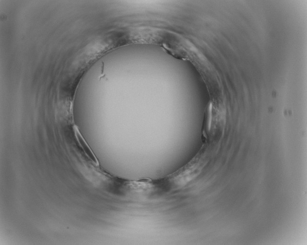 X0000088210429200706051301