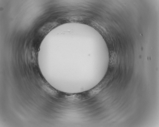 X0000088210430200706051301