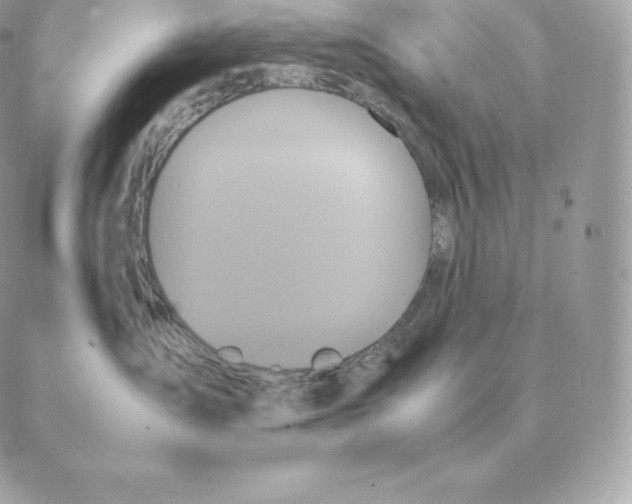 X0000088210431200706051301