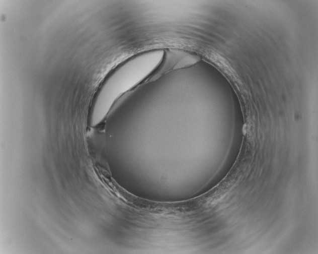 X0000088210434200706051301