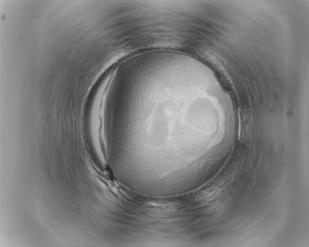 X0000088210435200706051301