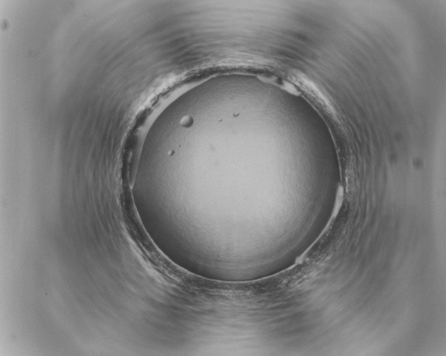 X0000088210436200706051301