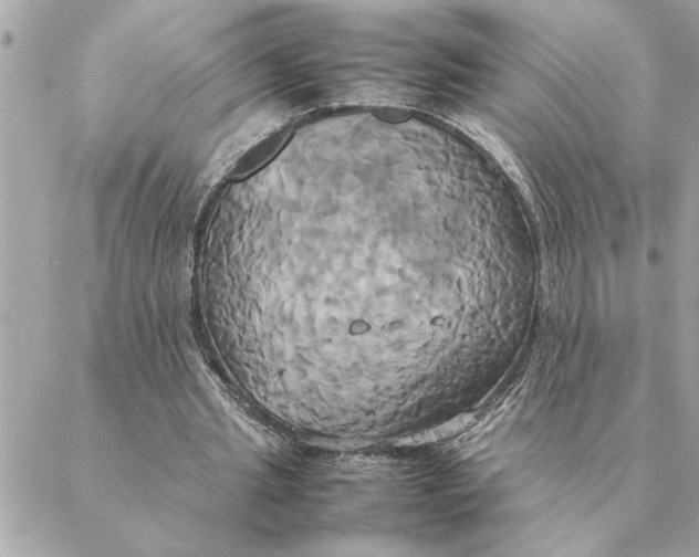 X0000088210437200706051301