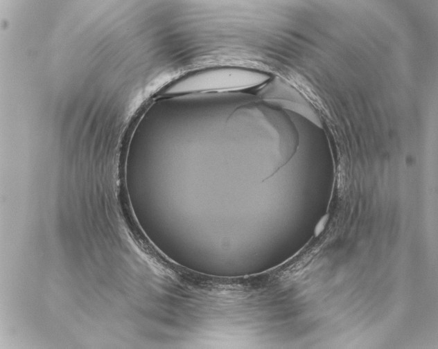 X0000088210438200706051301