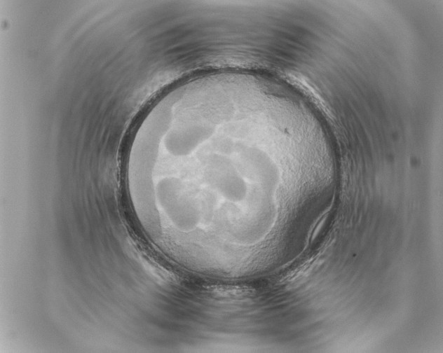 X0000088210439200706051301