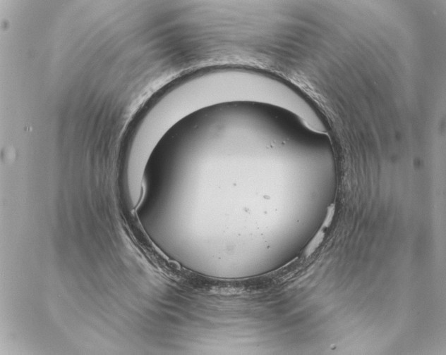 X0000088210440200706051301