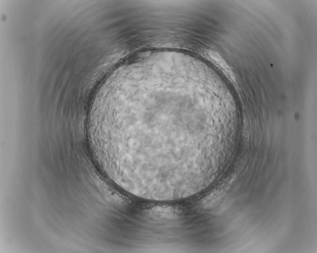 X0000088210441200706051301