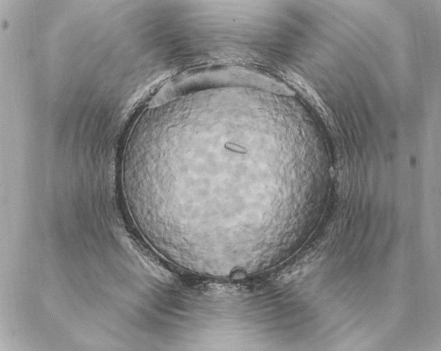 X0000088210442200706051301