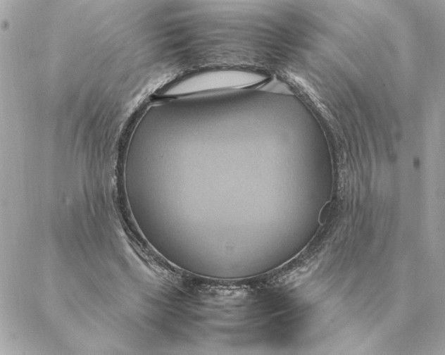 X0000088210443200706051301