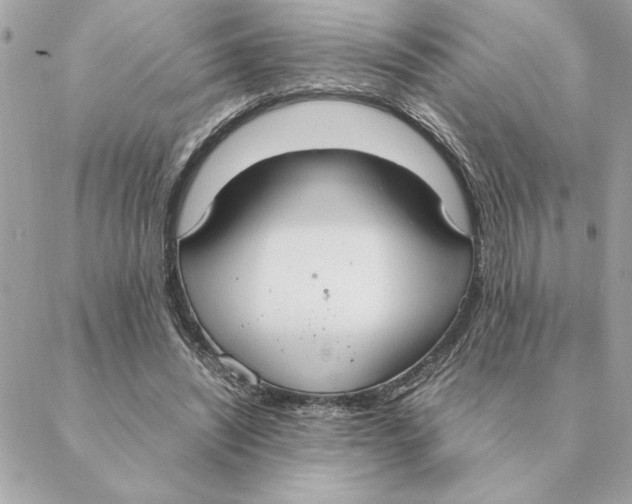 X0000088210444200706051301