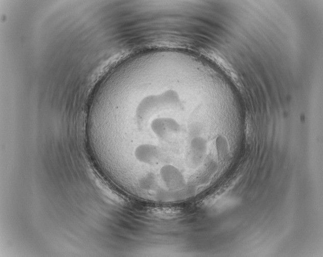 X0000088210445200706051301