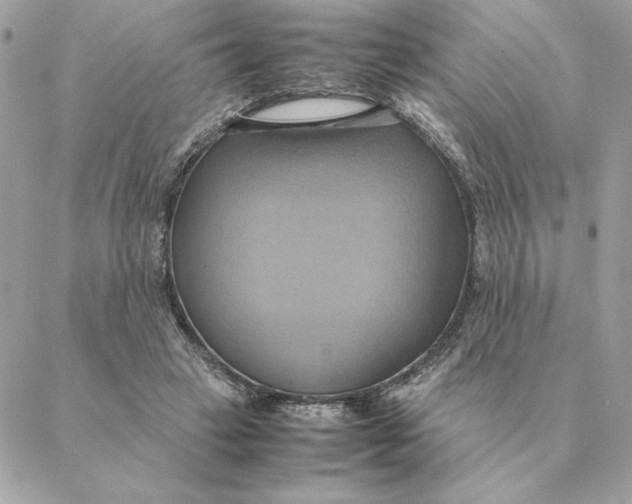 X0000088210449200706051301