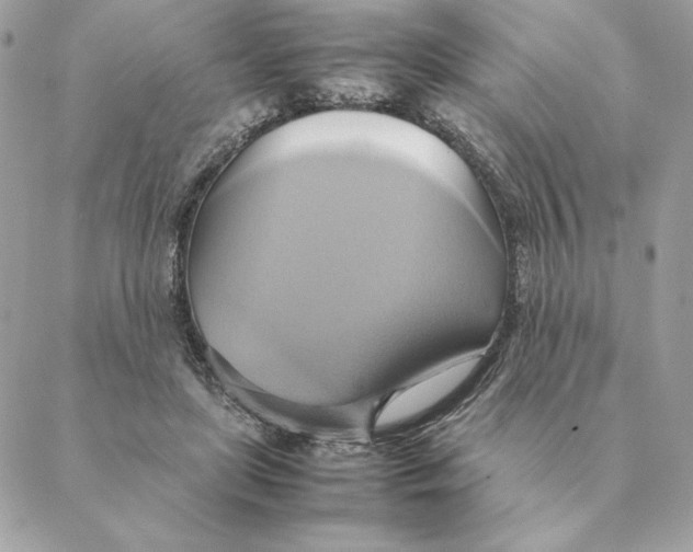 X0000088210451200706051301