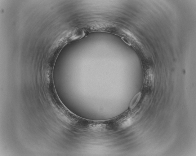 X0000088210452200706051301