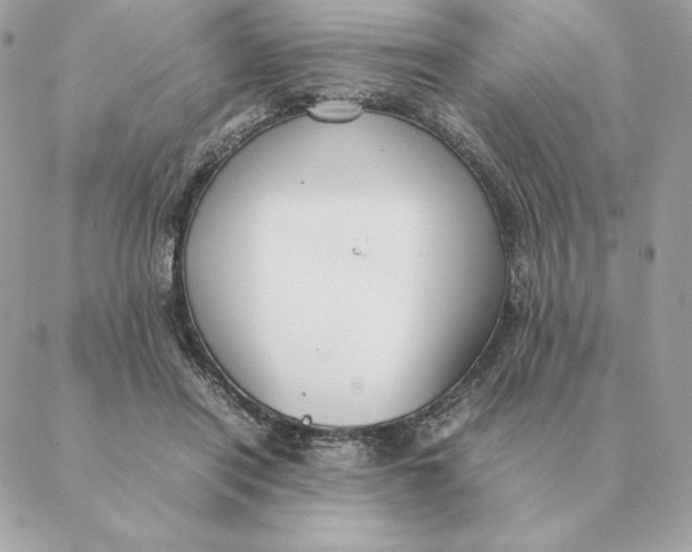 X0000088210454200706051301