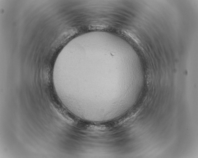 X0000088210455200706051301