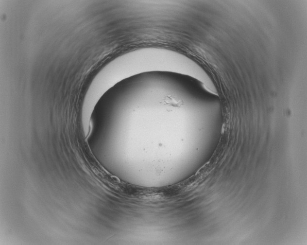 X0000088210456200706051301