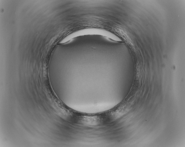 X0000088210457200706051301