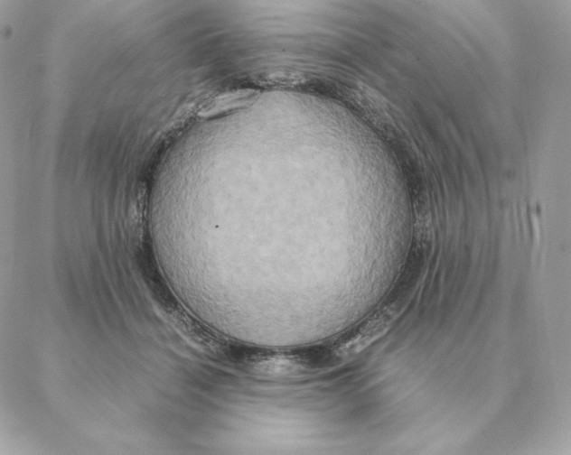 X0000088210460200706051301