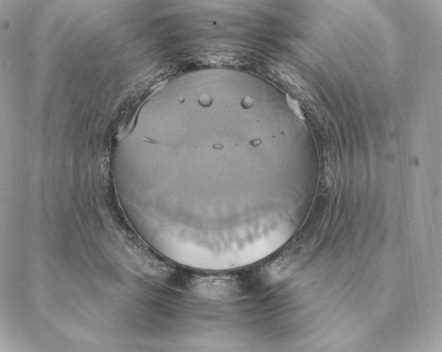 X0000088210461200706051301