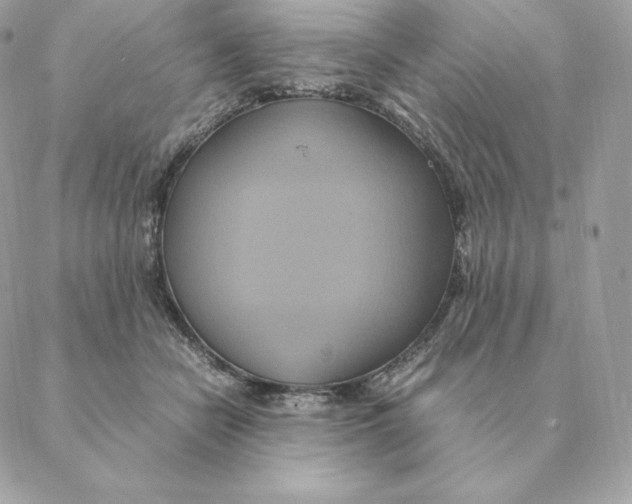 X0000088210462200706051301