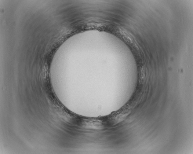 X0000088210463200706051301