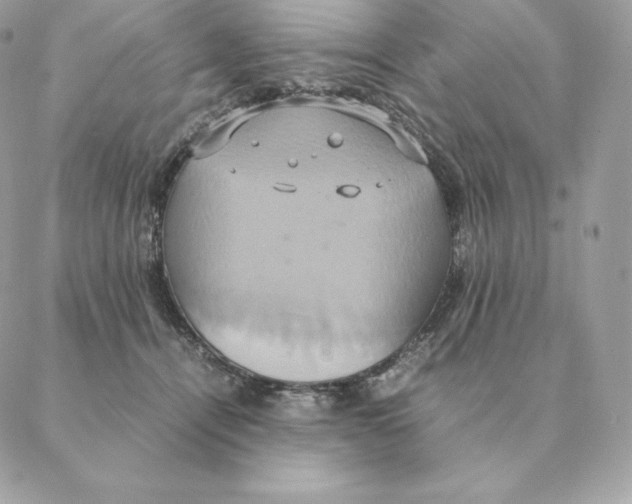 X0000088210464200706051301