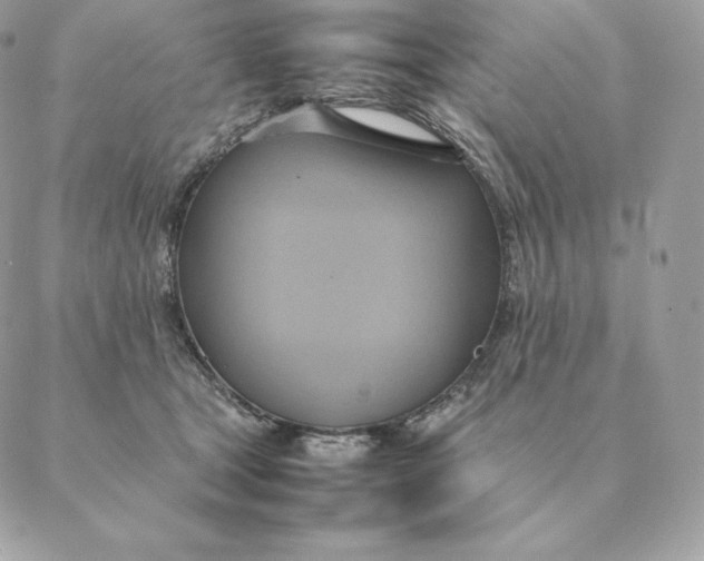 X0000088210465200706051301