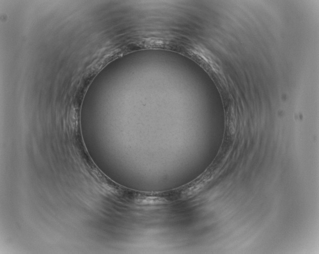 X0000088210467200706051301