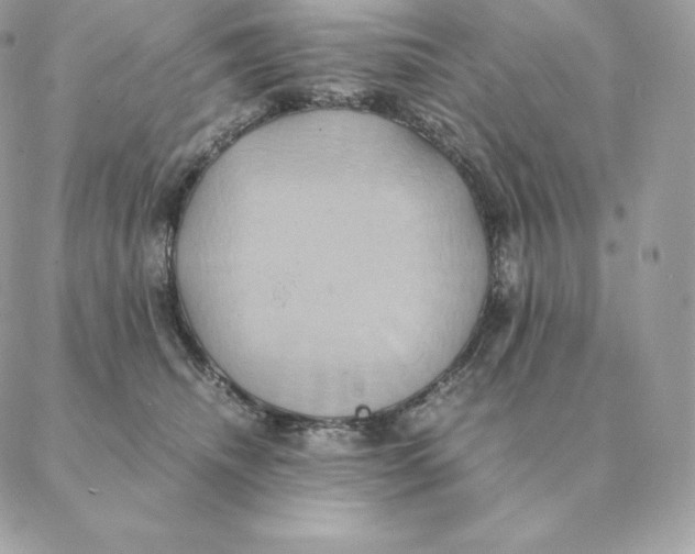 X0000088210468200706051301