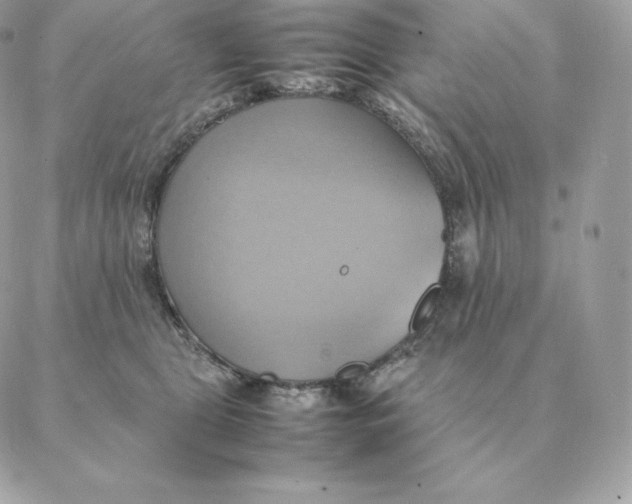 X0000088210469200706051301