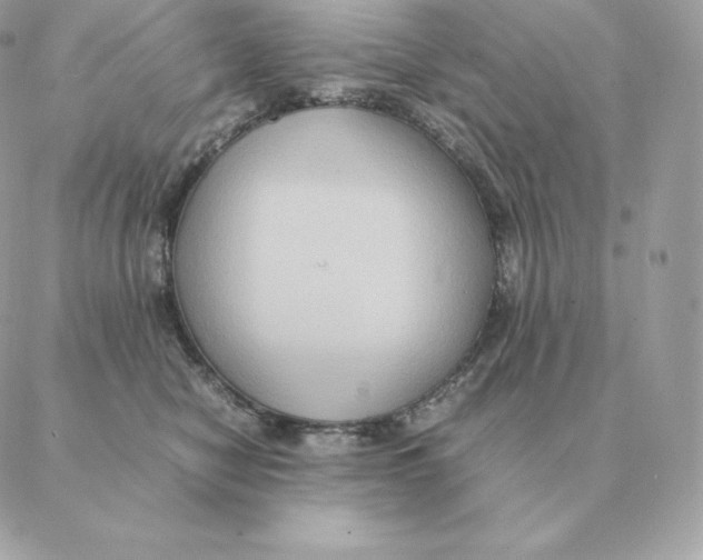 X0000088210470200706051301