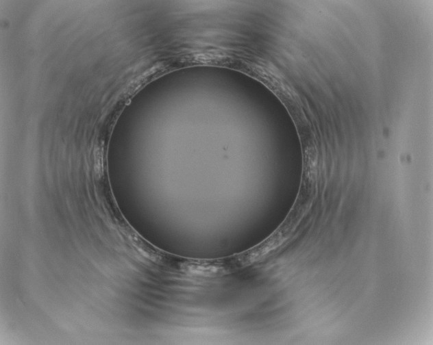 X0000088210471200706051301