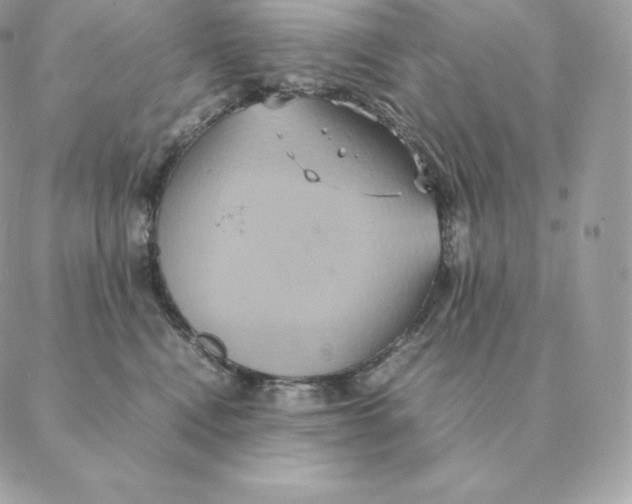 X0000088210472200706051301