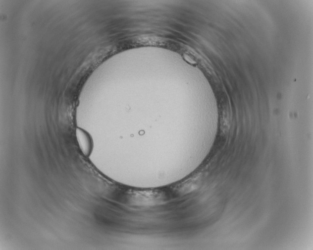 X0000088210473200706051301