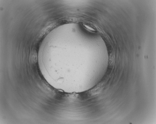 X0000088210474200706051301