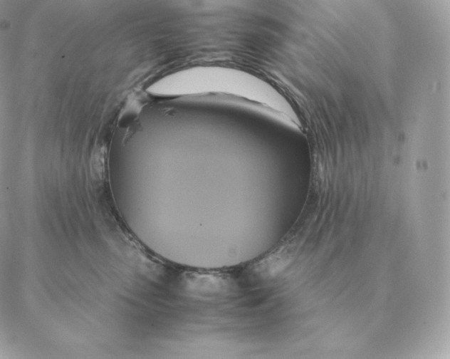 X0000088210475200706051301