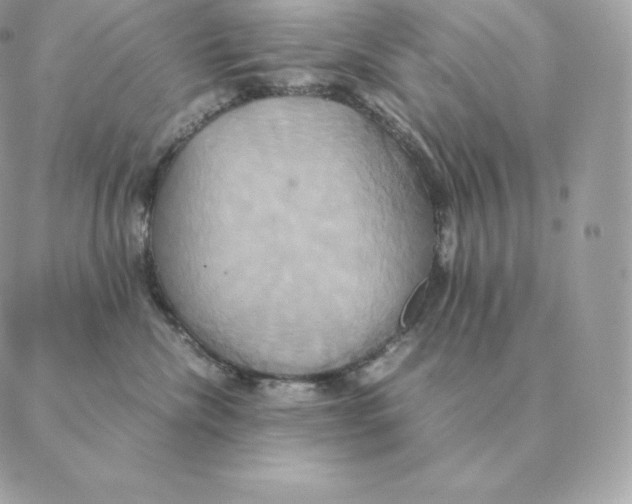 X0000088210476200706051301