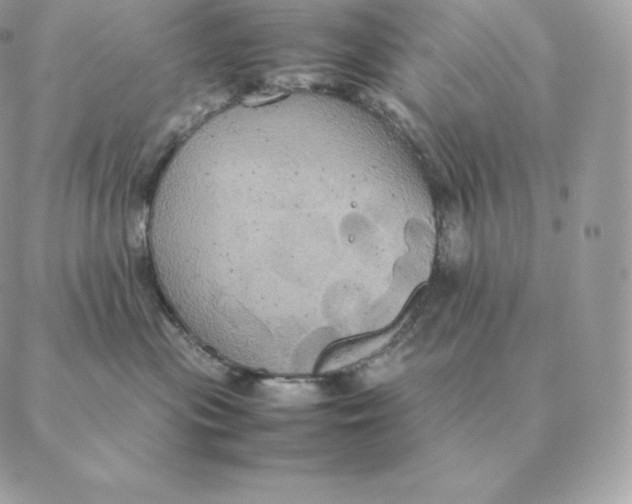 X0000088210477200706051301