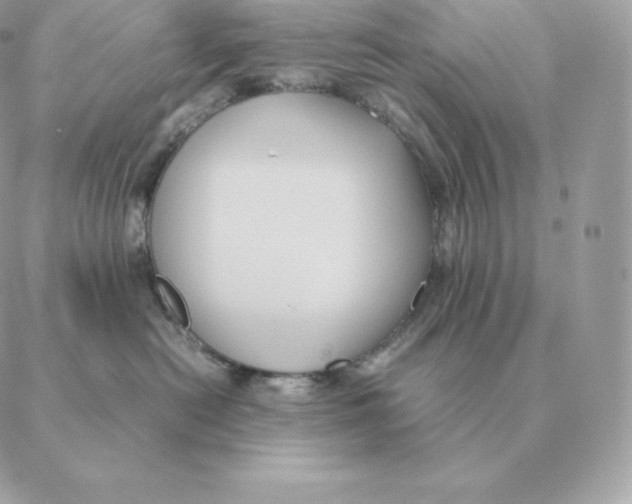 X0000088210478200706051301