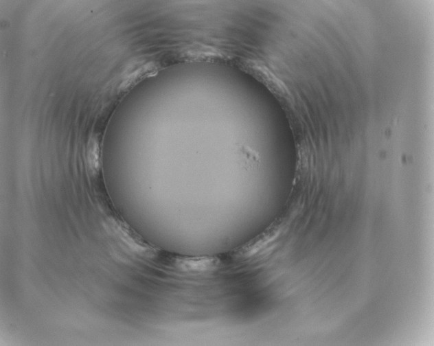 X0000088210479200706051301