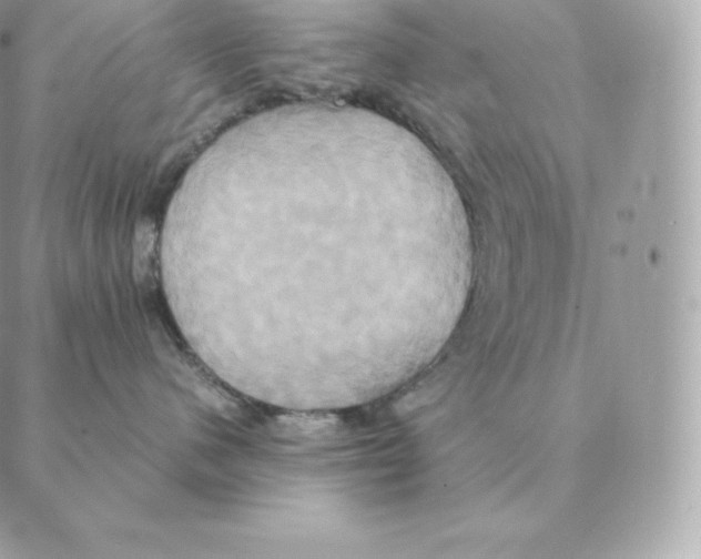 X0000088210480200706051301