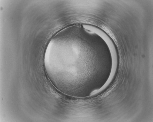 X0000088210481200706051301